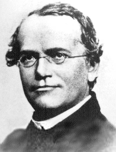 Gregor Johann Mendel