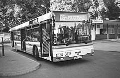 Foto - Komunikacja w Szczecinie - Nowy model autobusu MAN NL223 z elektronicznym wyświetlaczem